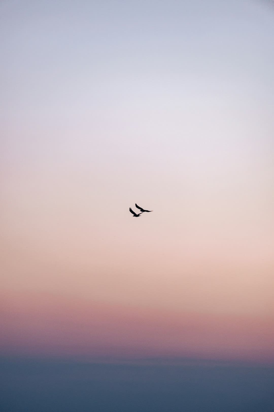 诏安梅岭:七夕献血传递爱 志愿服务暖人心